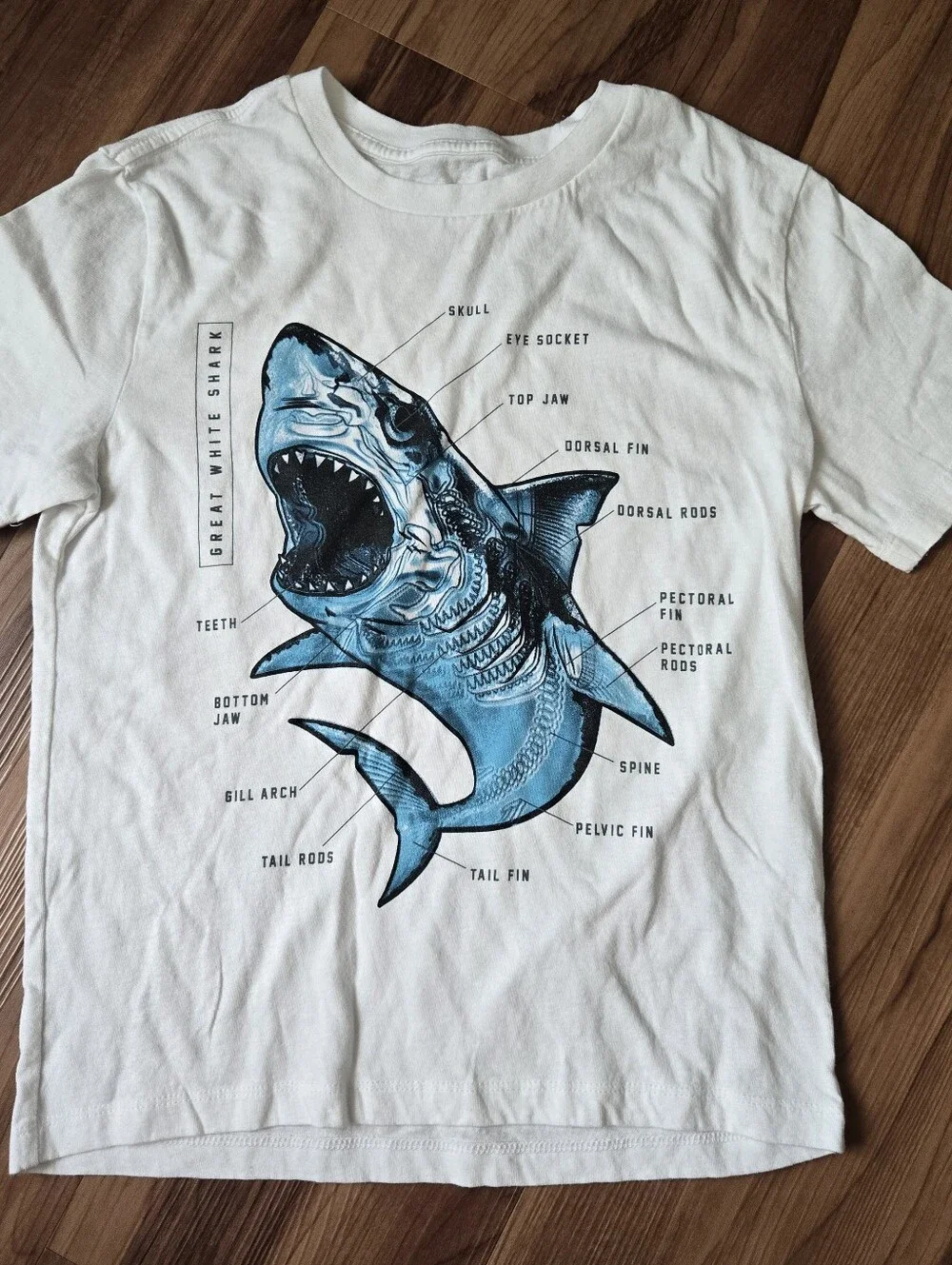Set of Size 8 Kids Shark Graphic Tee & Shark-Print Top Old Navy Blue White VGUC